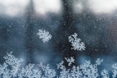 Winter (c) Annette Ulrich