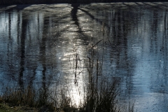 Winter (c) Annette Ulrich