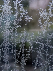 Winter (c) Astrid Padberg