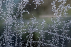 Winter (c) Astrid Padberg