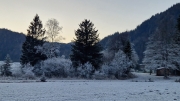Winter (c) Caroline Henkes