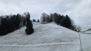 Winter (c) Caroline Henkes