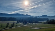 Winter (c) Caroline Henkes