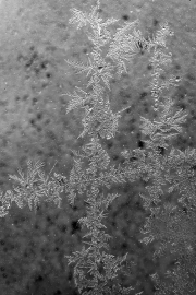 Winter (c) Detlef Buxmann