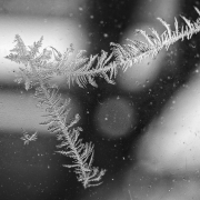 Winter (c) Detlef Buxmann