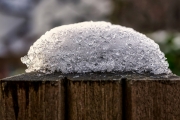 Winter (c) Detlef Buxmann