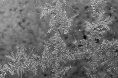 Winter (c) Detlef Buxmann