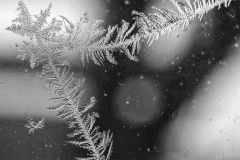 Winter (c) Detlef Buxmann