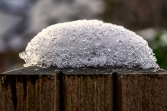 Winter (c) Detlef Buxmann