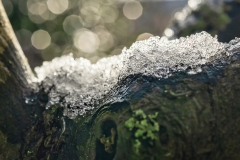 Winter (c) Detlef Buxmann