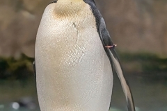 Winter (c) Detlef Buxmann