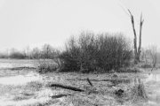 Winter (Hans Georg Bein)
