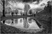 Winter (c) Gerd Baumann