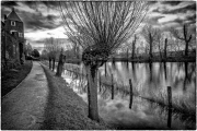 Winter (c) Gerd Baumann