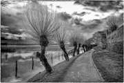 Winter (c) Gerd Baumann