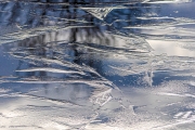 Winter (c) Hans Peter Eckstein