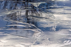 Winter (c) Hans Peter Eckstein