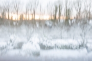 Winter (c) Ina Herzig