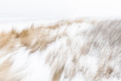 Winter (c) Ina Herzig
