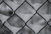 Winter (c) Renate Romanus
