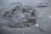 Winter (c) Renate Romanus