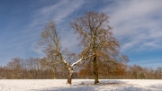 Winter (c) Andreas Otto
