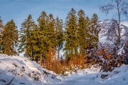 Winter (c) Andreas Otto
