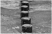 Winter (c) Peter Taubert