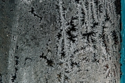 Winter (c) Peter Taubert