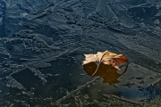 Winter (c) Peter Taubert