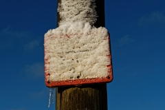 Winter (c) Peter Taubert