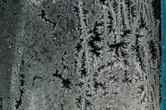 Winter (c) Peter Taubert