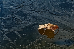 Winter (c) Peter Taubert