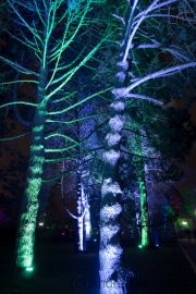 Winterleuchten 2016/17