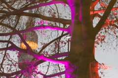 Winterleuchten 2016/17