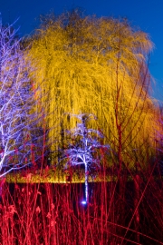 Winterleuchten Westfalenpark