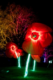 Winterleuchten Westfalenpark