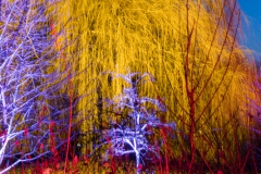 Winterleuchten Westfalenpark