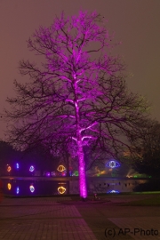 Winterleuchten 2016