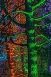 Winterleuchten 2016