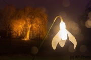 Winterleuchten 2016