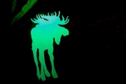Winterleuchten 2016