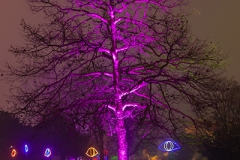 Winterleuchten 2016