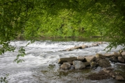 Wipperaue, Wupper