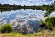 Homberger Moor