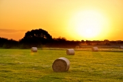 Landschaft am Morgen