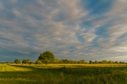 Landschaft am Morgen