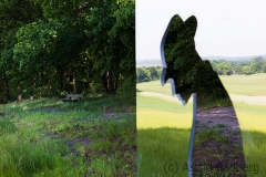 Landschaft Weyerberg