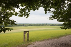 Landschaft Weyerberg