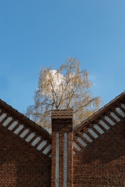 Zeche Zollern (c) Astrid Padberg